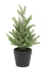 TREE PINE FROSTED 5IN X 9IN IN BLACK POT PLASTIC