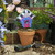 Bird House Charm