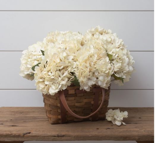 Hydrangea, Cream Bunch