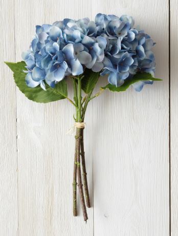 Hydrangea, Blue Bunch