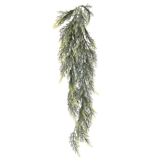 CEDAR HANGING BUSH