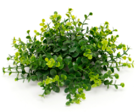 10" Greenery dome ball