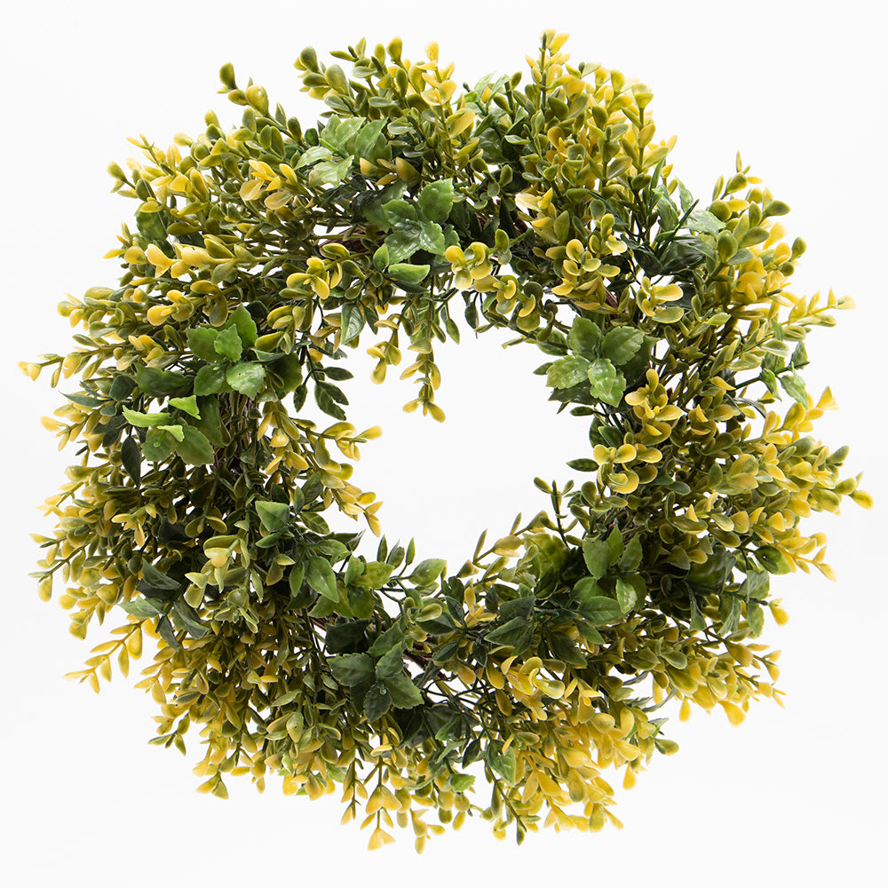 Boxwood with Yellow Blossom Wreath 12"
