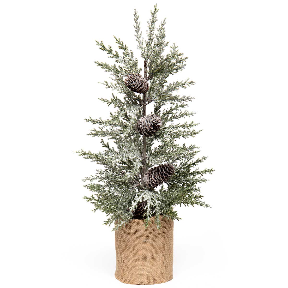 Evergreen Pine Tree in Burlap Base