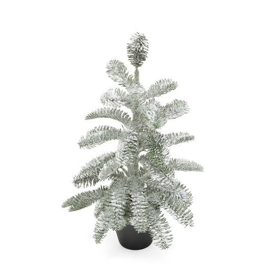 HEMLOCK PINE TREE IN BLACK POT SMALL