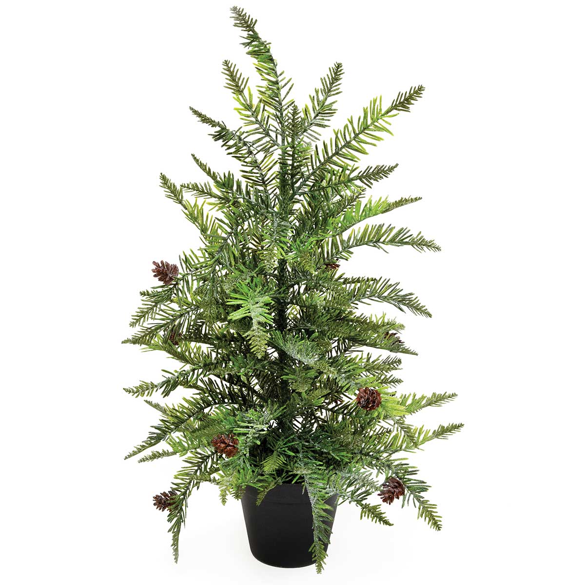 FROSTED PINE TREE IN BLACK POT