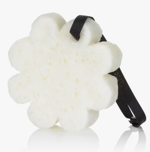 Sugar Crush Boxed Flower