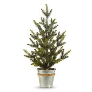 18" POTTED PINE TREE