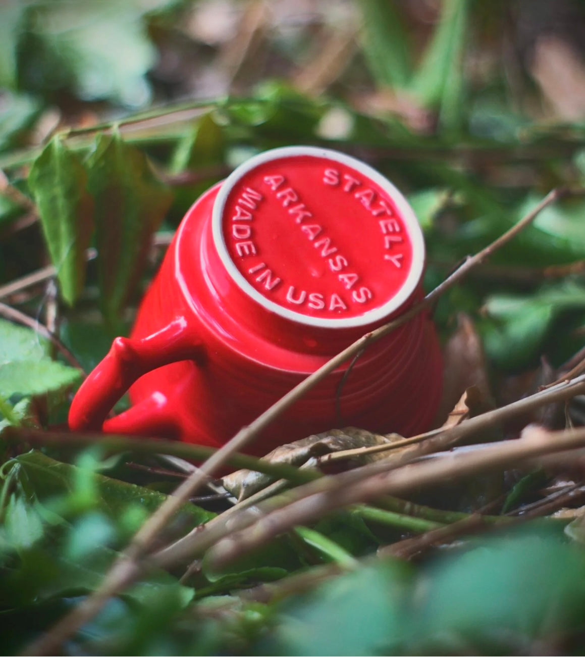Stately Arkansas Mug