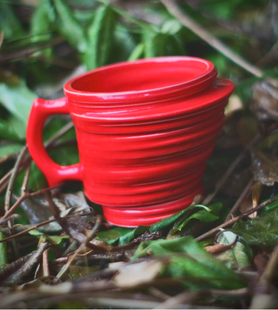 Stately Arkansas Mug