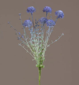 Pick - Blue Allium