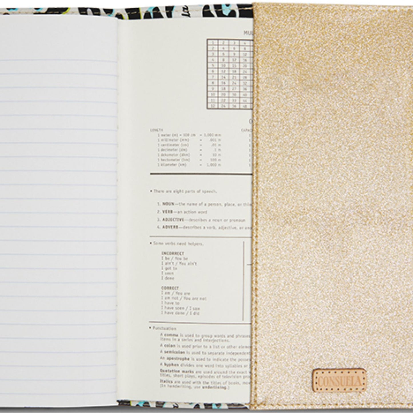 CONSUELA Notebook, CoCo