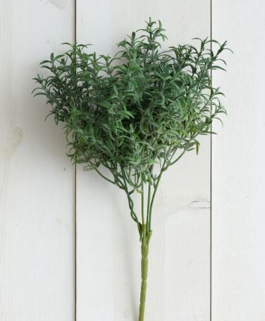 Pick - Thyme
