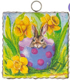 Mini Bunny In Daffodils Print