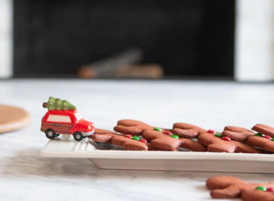 just like the griswolds! mini