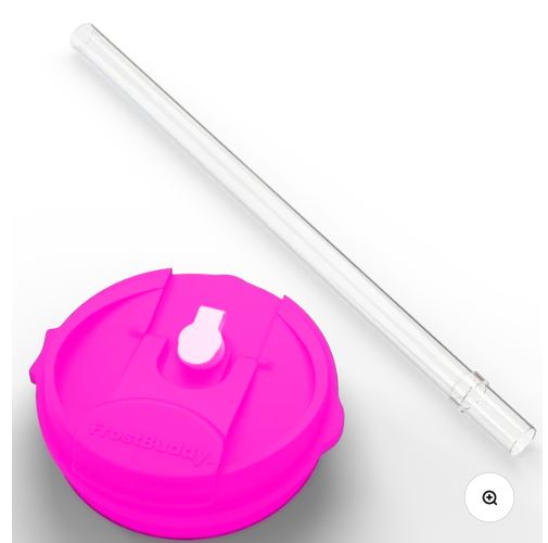 To-Go Buddy Lid With Straw