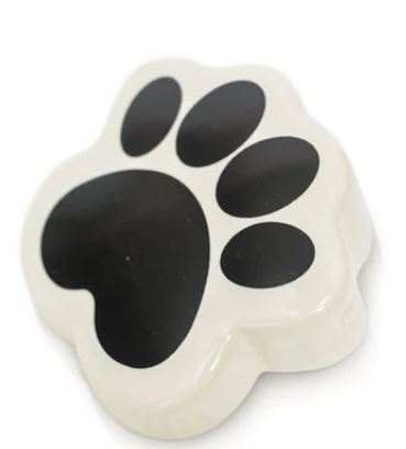 it's paw-ty time!