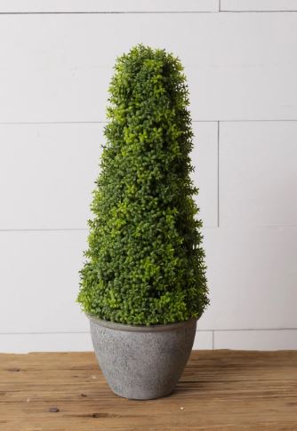 Cement Pot Topiary