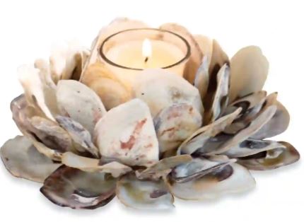 OYSTER SHELL VOTIVE HOLDER