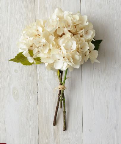 Hydrangea, Cream Bunch