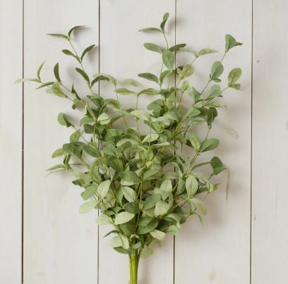 Bundle - Shades Of Green, Sage