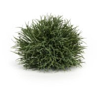 Half Orb 6"D Plastic