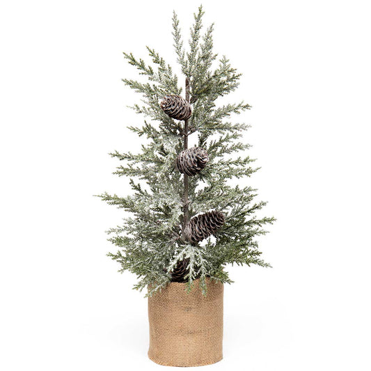 Evergreen Pine Tree in Burlap Base