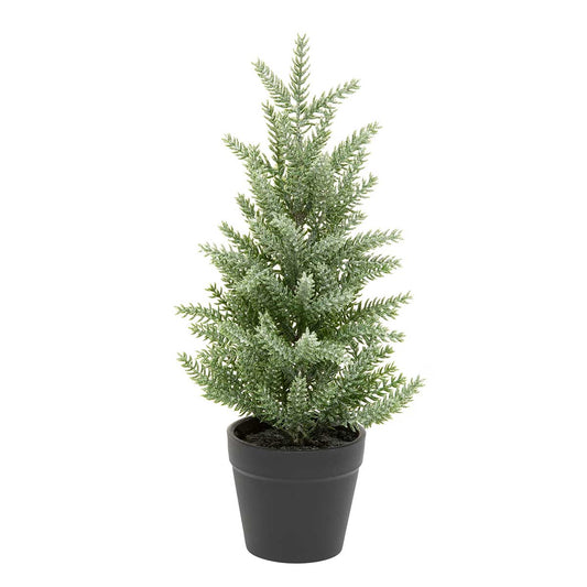 FROSTED PINE TREE IN BLACK POT WITH MICA